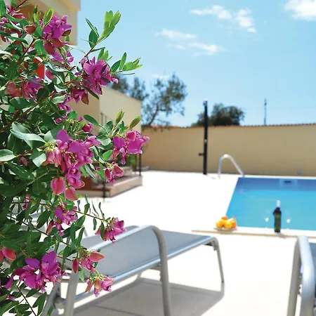 25 Tatil Evi *